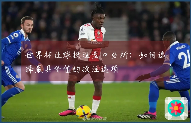 世界杯让球投注盘口分析：如何选择最具价值的投注选项