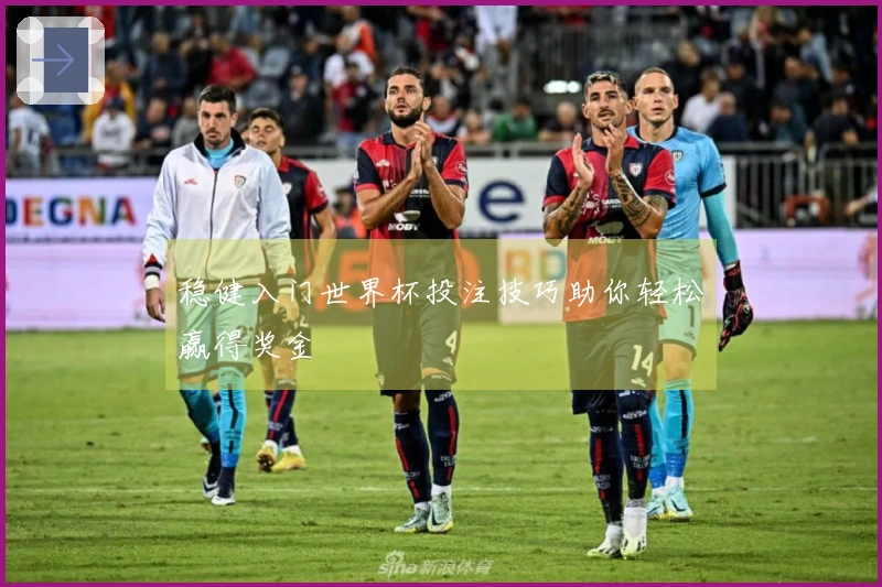 稳健入门世界杯投注技巧助你轻松赢得奖金