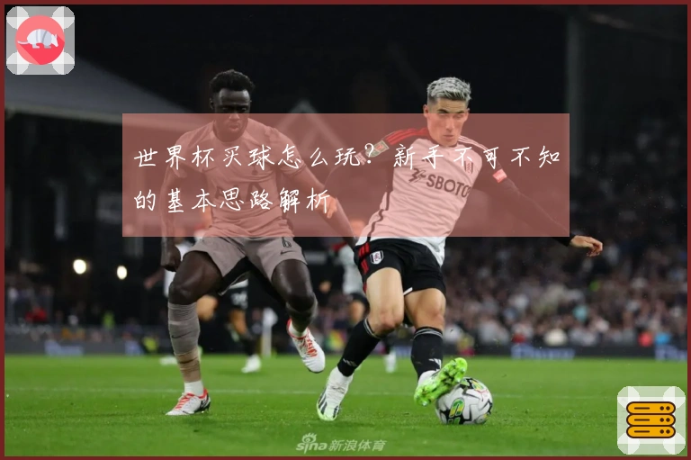世界杯买球怎么玩？新手不可不知的基本思路解析