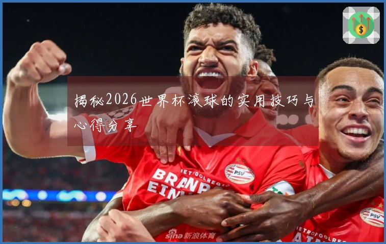 揭秘2026世界杯滚球的实用技巧与心得分享