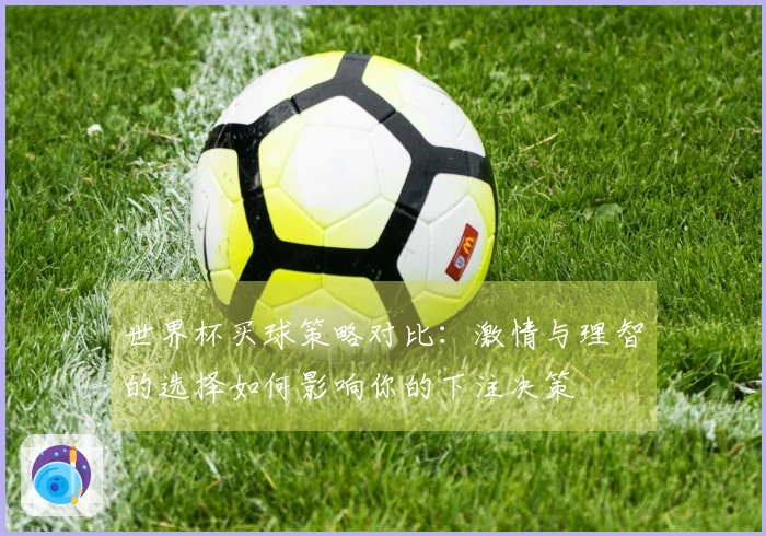 世界杯买球策略对比：激情与理智的选择如何影响你的下注决策